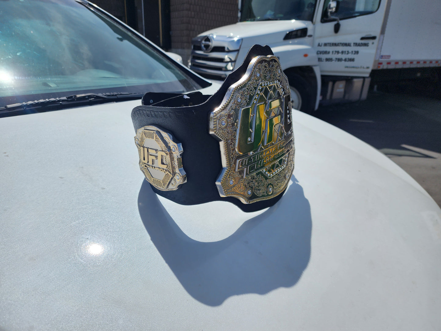 8mm Thick Plates Classic UFC. Fighter Boxing Championship Belt Adults