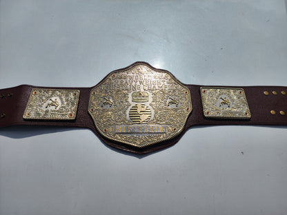 BIG GOLD World Heavyweight Championship Wrestling Belt Adult 6MM Zinc Dual Plate