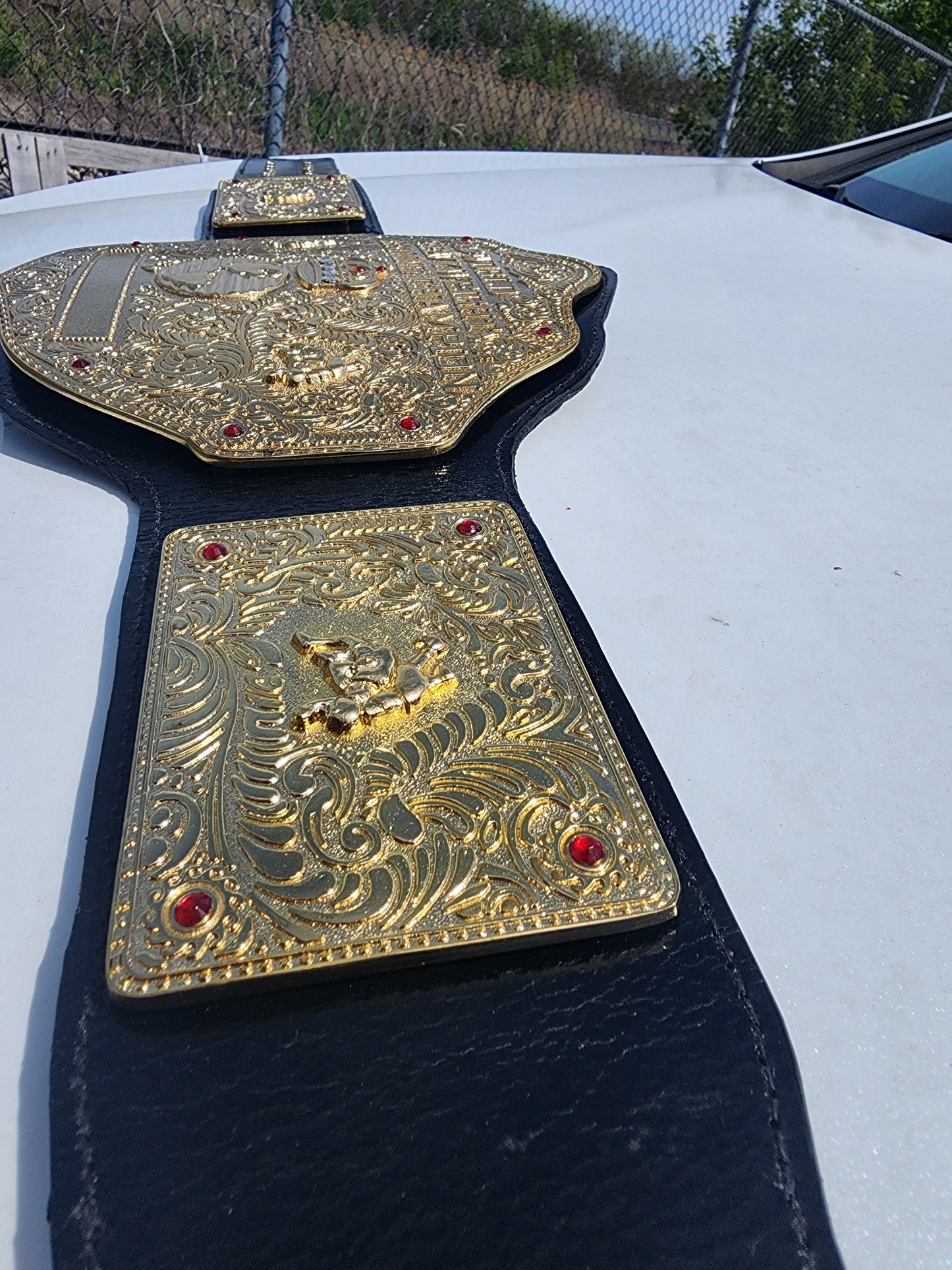 Big Gold Wrestling Belt – Rope Like Borders 6MM Zinc Thick plates