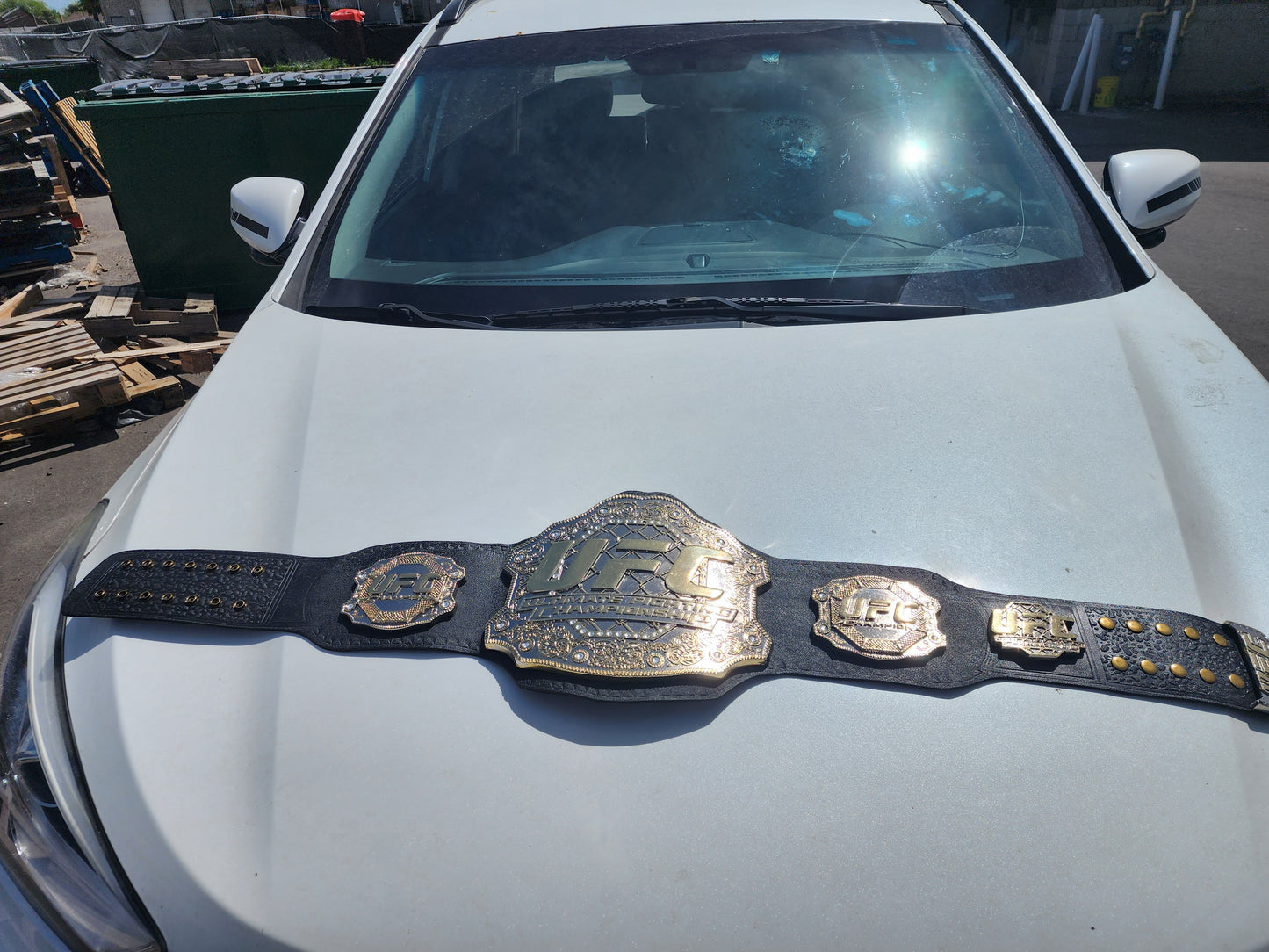 8mm Thick Plates Classic UFC. Fighter Boxing Championship Belt Adults