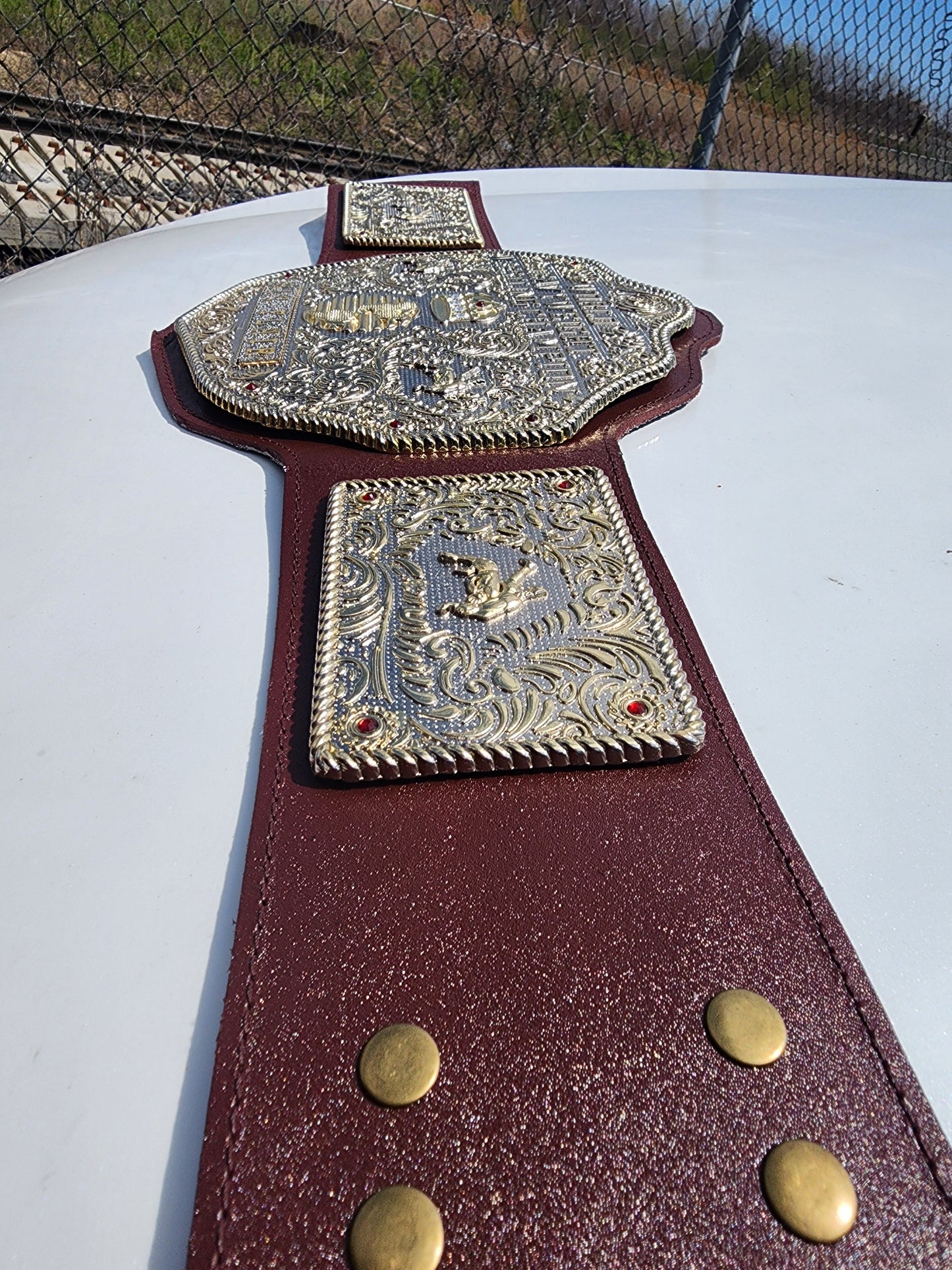 BIG GOLD World Heavyweight Championship Wrestling Belt Adult 6MM Zinc Dual Plate