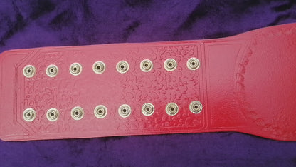 Aew Tnt Champion Belt Metal Plates Tnt Belt Aew Red Strap 4MM thick plates